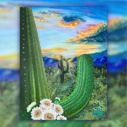 Desert Saguaros Sunset