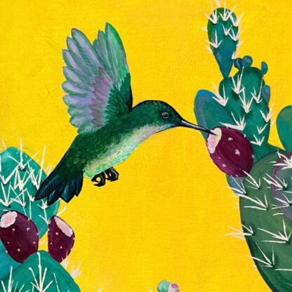 Prickly Pear Hummingbird - Image 3